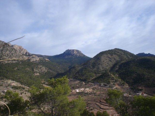 DSC04247.JPG